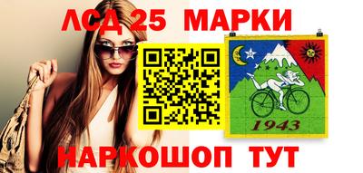 МДПВ Бердск