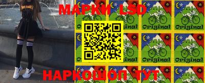 МДПВ Бердск