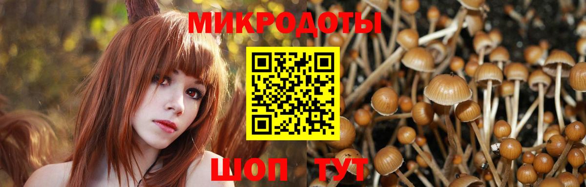 Галлюциногенные грибы Cubensis Ступино
